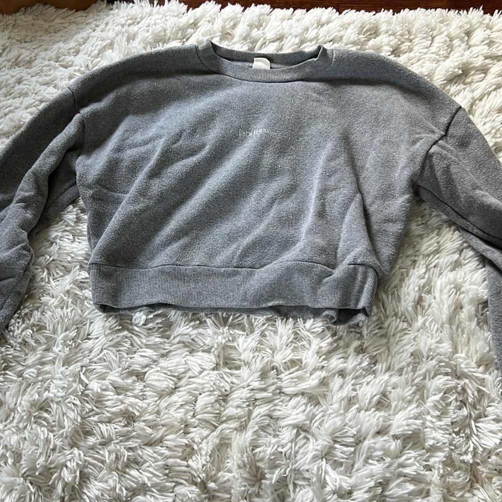 Urban outfitters grey cropped sweatshirt